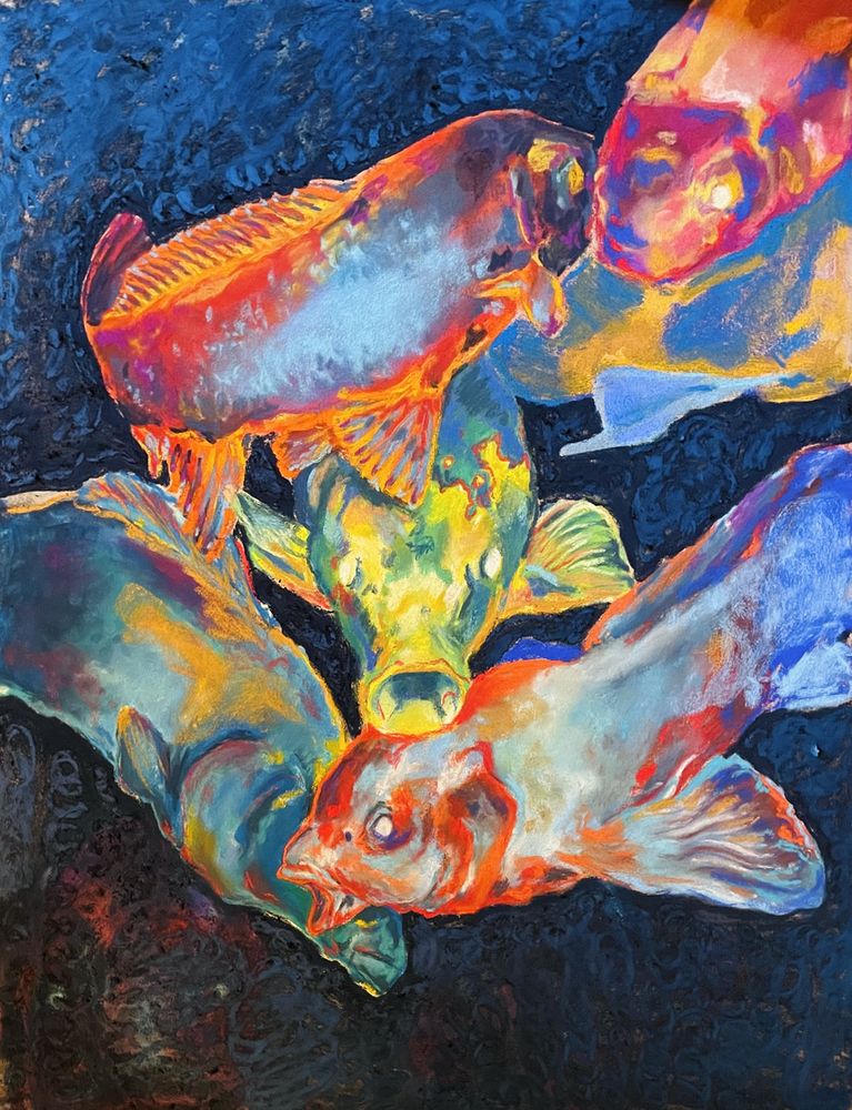 Koi